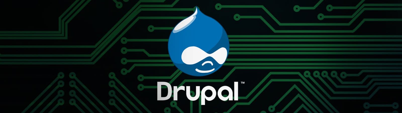 drupal developer course